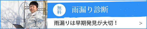 雨漏り診断