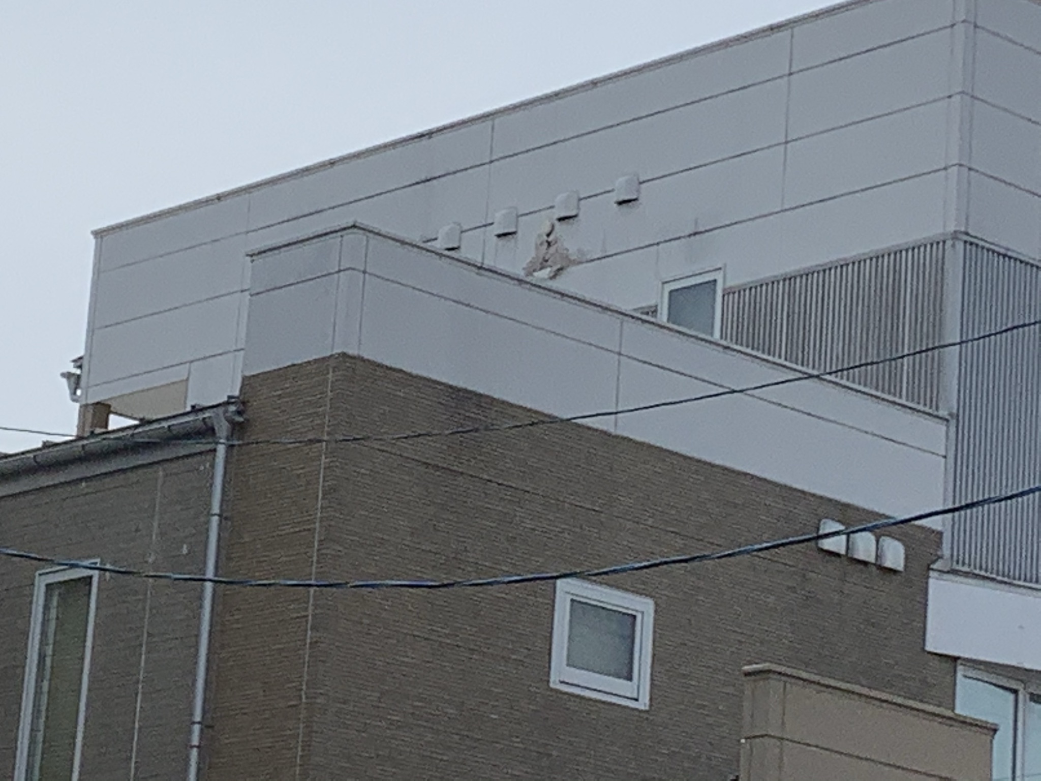 【八戸】外壁調査　ドローン　外壁塗装｜屋根塗装｜塗装業者｜塗装屋｜塗装会社