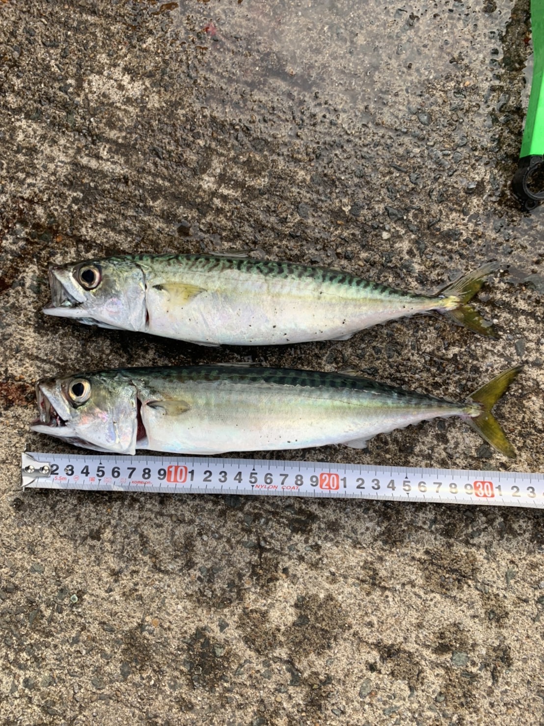 【八戸】太公望　外壁塗装｜屋根塗装｜塗装業者｜塗装屋｜塗装会社