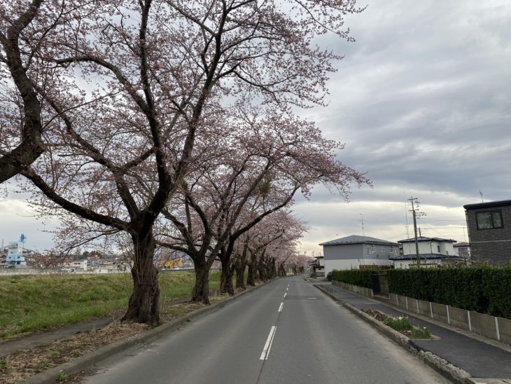   【八戸】咲いたね(^▽^)/　外壁塗装｜屋根塗装｜塗装業者｜塗装屋｜塗装会社